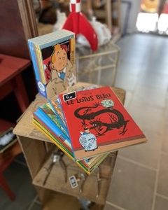 Collection de livres et DVD TINTIN